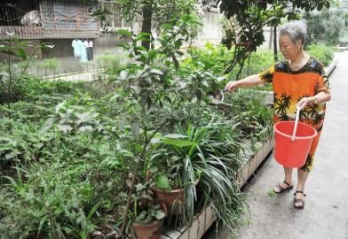 6��27�գ�ͬ�Ƙ�M��8̖Ժ���S�����ڽoԺ��ֲ�ˮ��